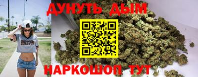 шишки Лесосибирск