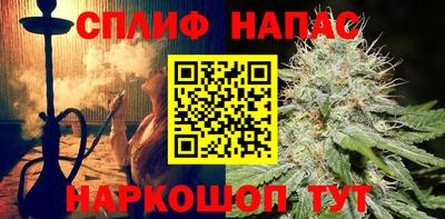 шишки Лесосибирск