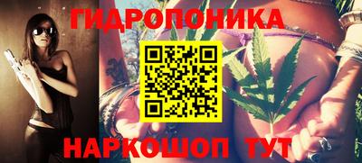 шишки Лесосибирск