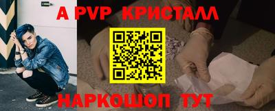 шишки Лесосибирск